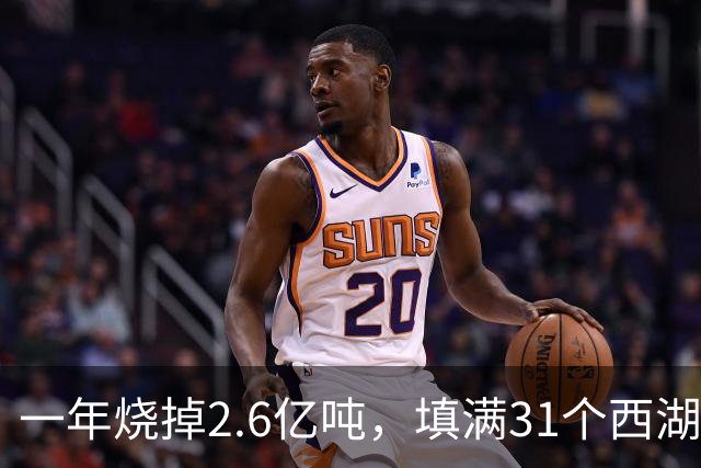 一年烧掉2.6亿吨，填满31个西湖！中国的垃圾，不够烧了？