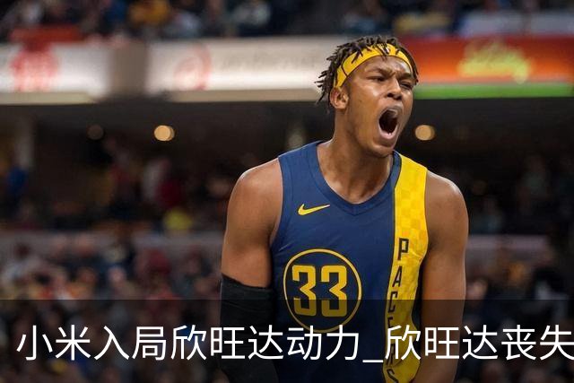 小米入局欣旺达动力 欣旺达丧失控制权