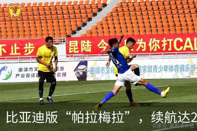比亚迪版“帕拉梅拉”,续航达2000km,拥有50万的档次仅售15万多