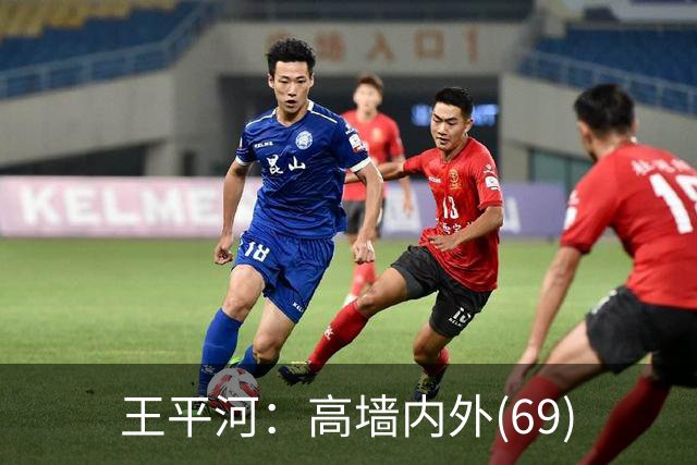 王平河：高墙内外(6/9)